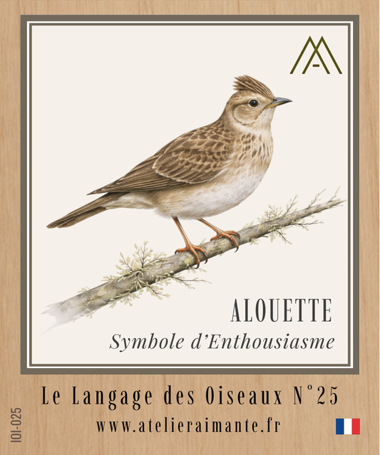 Alouette - Oiseaux - N°25