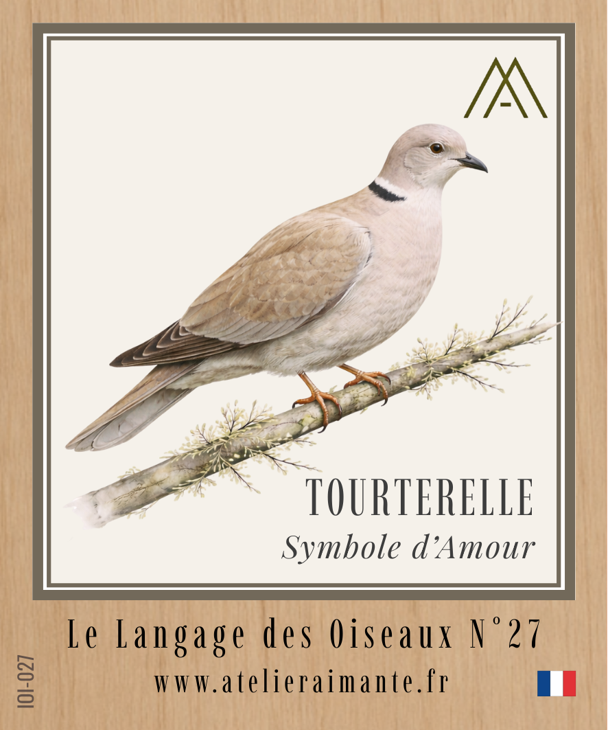Tourterelle - Oiseaux - N°27