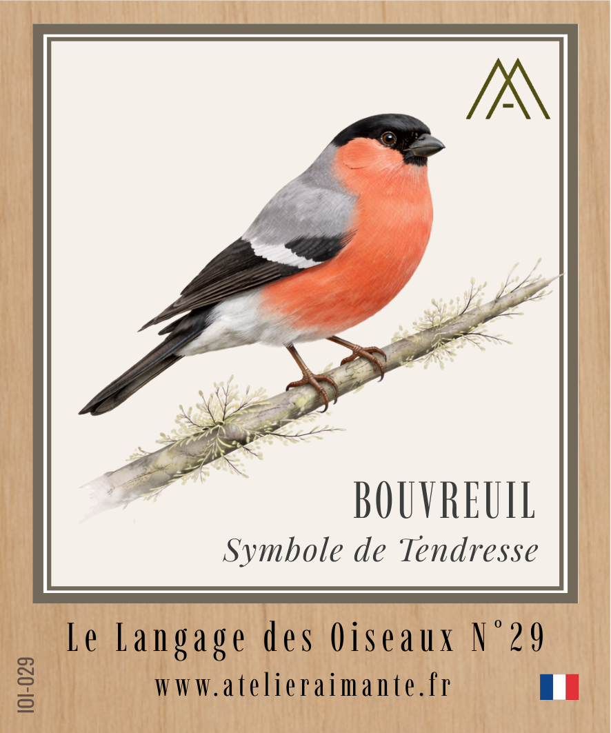 Bouvreuil - Oiseaux - N°29