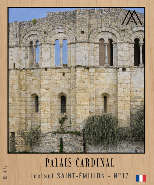 Magnet Instant SAINT-ÉMILION - Palais Cardinal - N°17