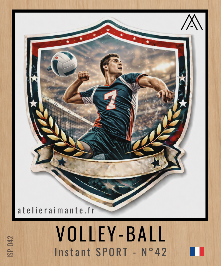 Sport - Volley-Ball - N°42