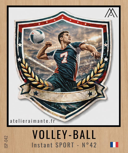 Sport - Volley-Ball - N°42