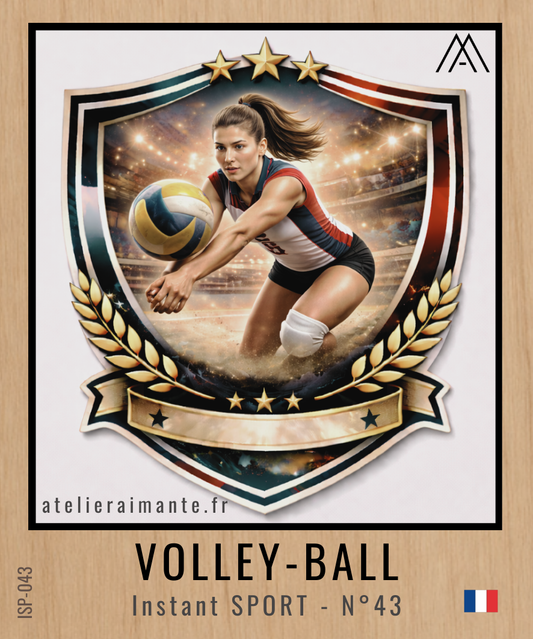 Sport - Volley-Ball - N°43