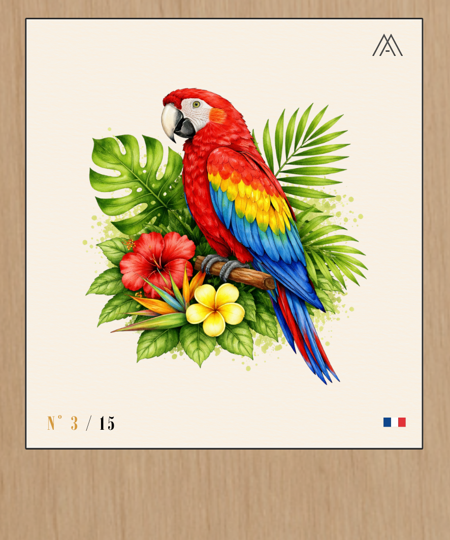 Ara Bleu et Jaune - Instant Oiseaux Exotiques - N°3
