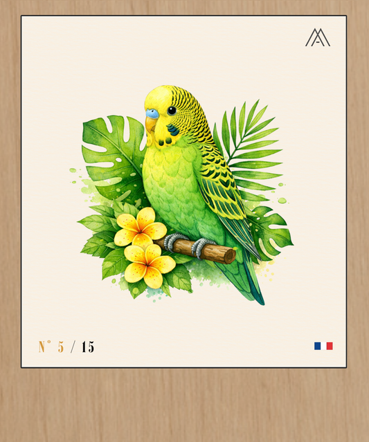 Perruche Ondulée - Instant Oiseaux Exotiques - N°5