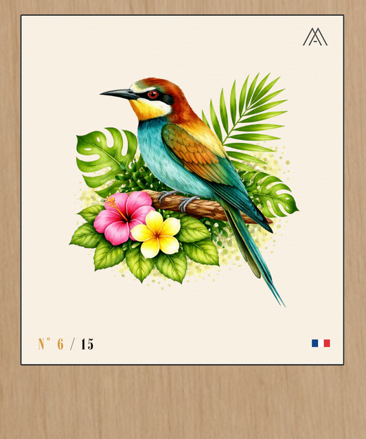Guêpier Tropical - Instant Oiseaux Exotiques - N°6