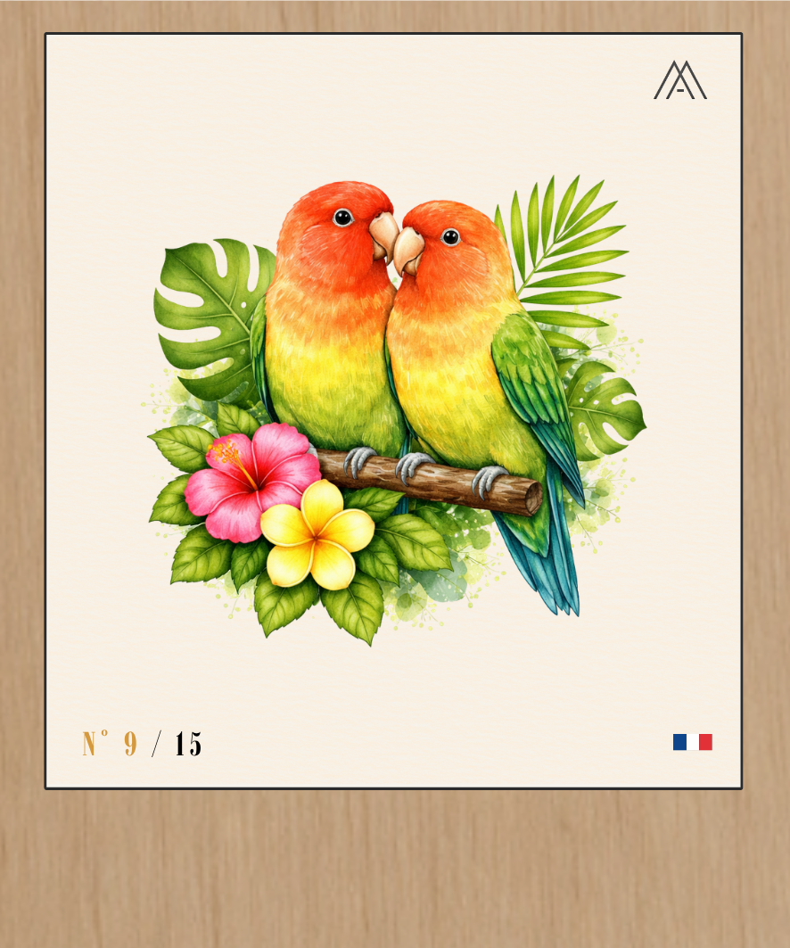 Inséparables - Instant Oiseaux Exotiques - N°9