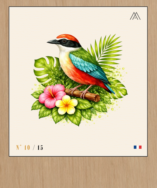 Guêpier - Instant Oiseaux Exotiques - N°10