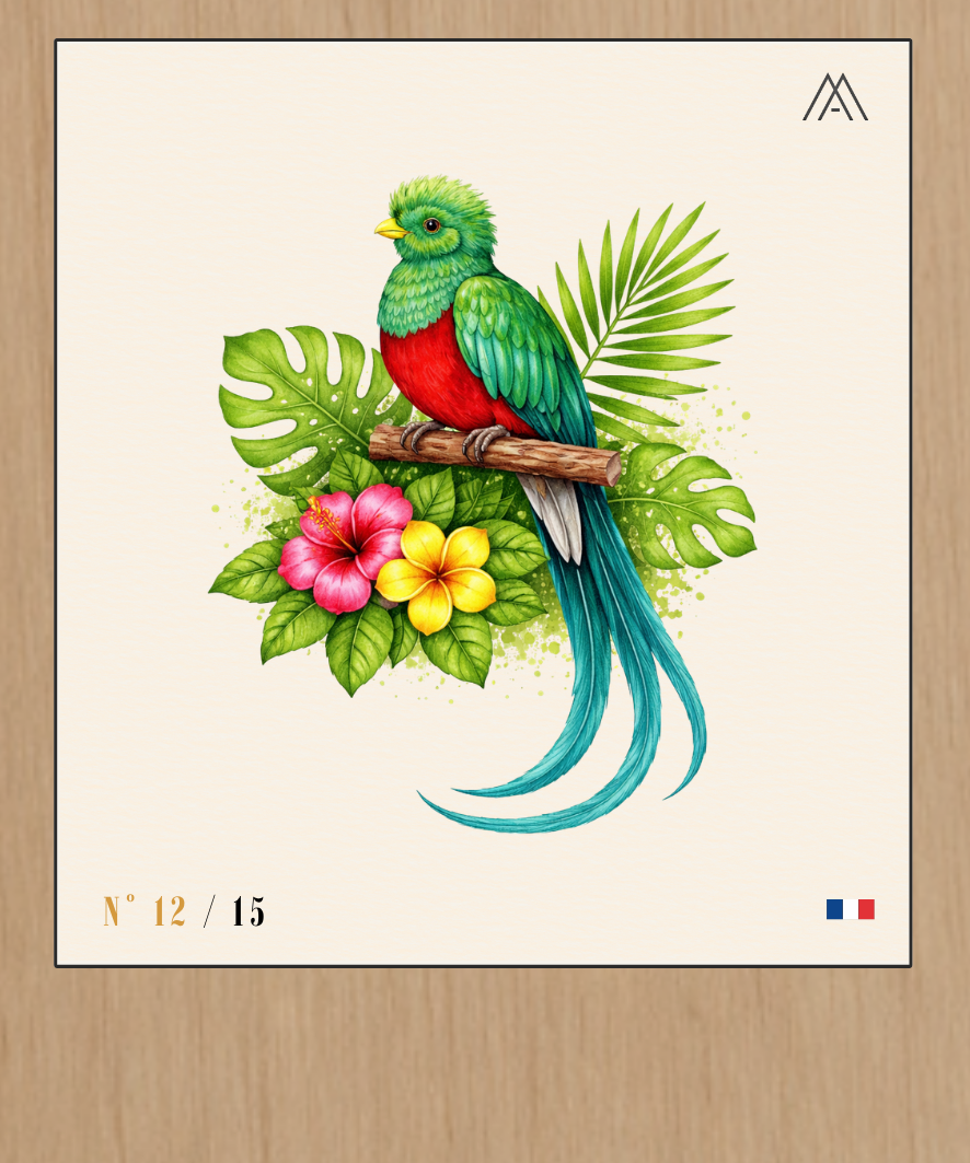 Quetzal Tropical - Instant Oiseaux Exotiques - N°12