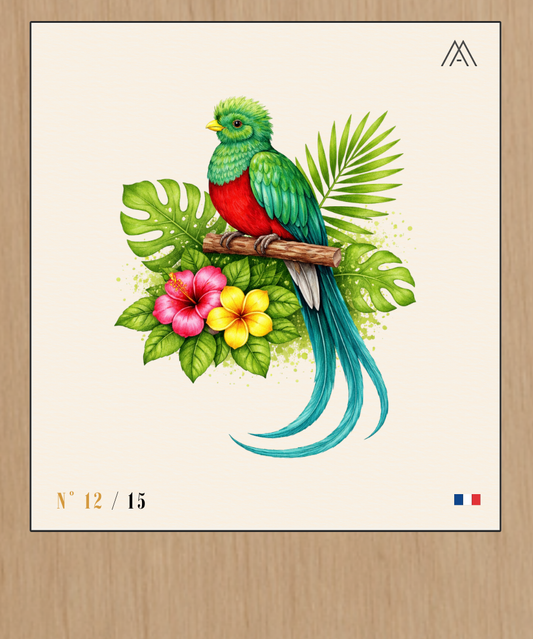 Quetzal Tropical - Instant Oiseaux Exotiques - N°12