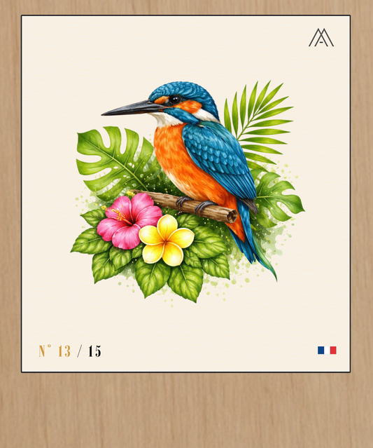 Martin-Pêcheur - Instant Oiseaux Exotiques - N°13