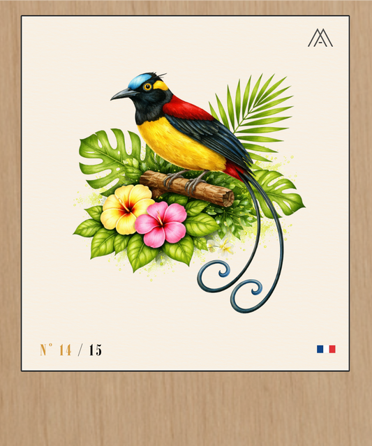 Oiseaux du Paradis - Instant Oiseaux Exotiques - N°14