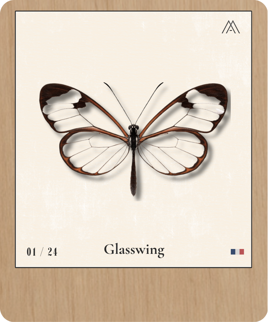 Glasswing - Instant Papillon - N° 1