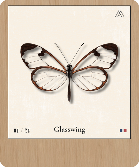 Glasswing - Instant Papillon - N° 1