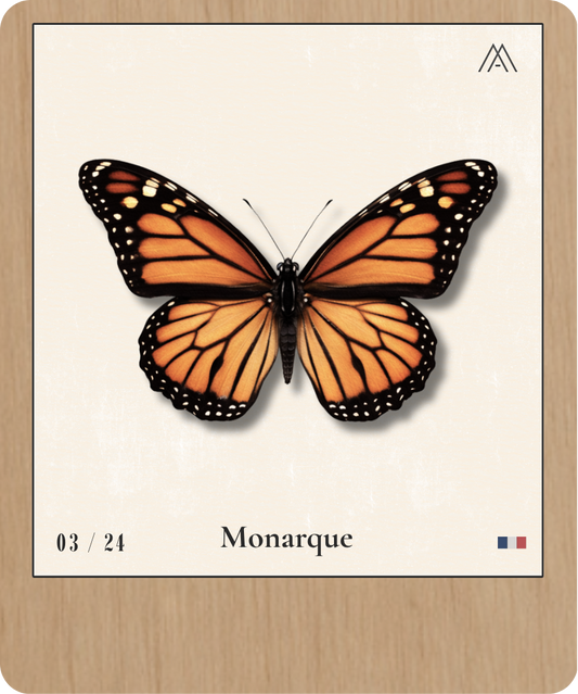 Monarque - Instant Papillon - N° 3