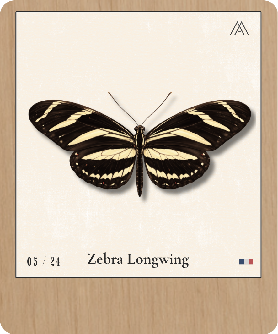 Zebra Longwing - Instant Papillon - N° 5