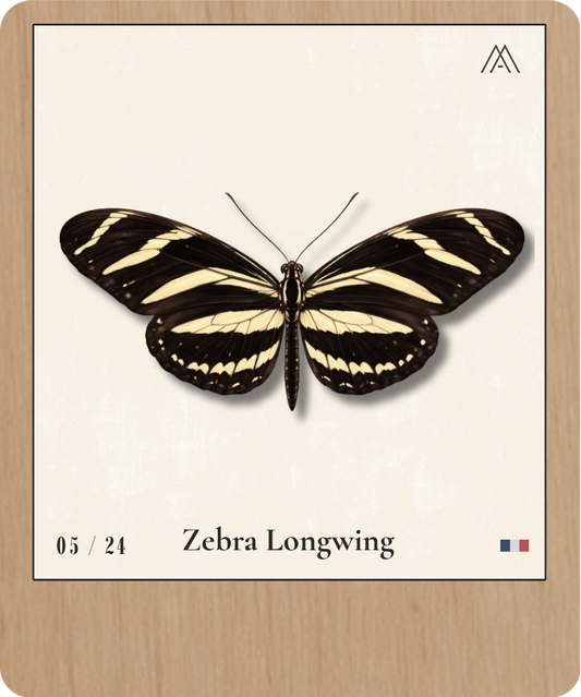 Zebra Longwing - Instant Papillon - N° 5
