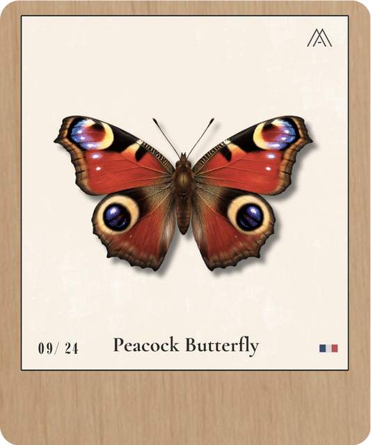 Peacock Butterfly - Instant Papillon - N°9