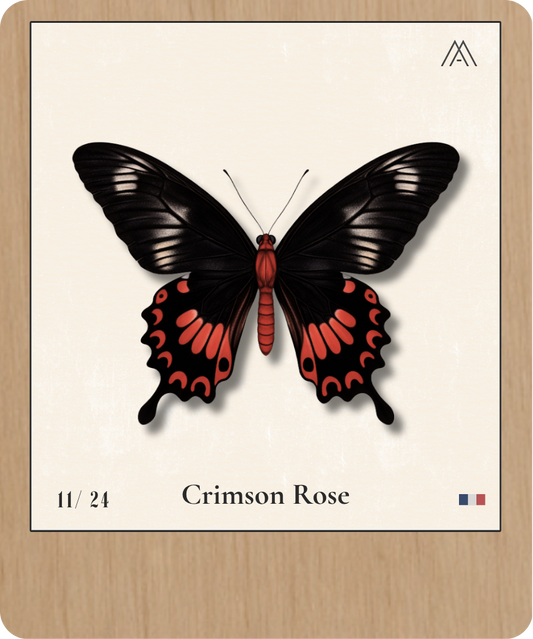 Crimsone Rose - Instant Papillon - N°11
