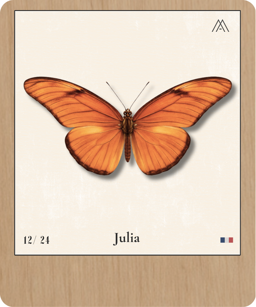 Julia - Instant Papillon - N°12