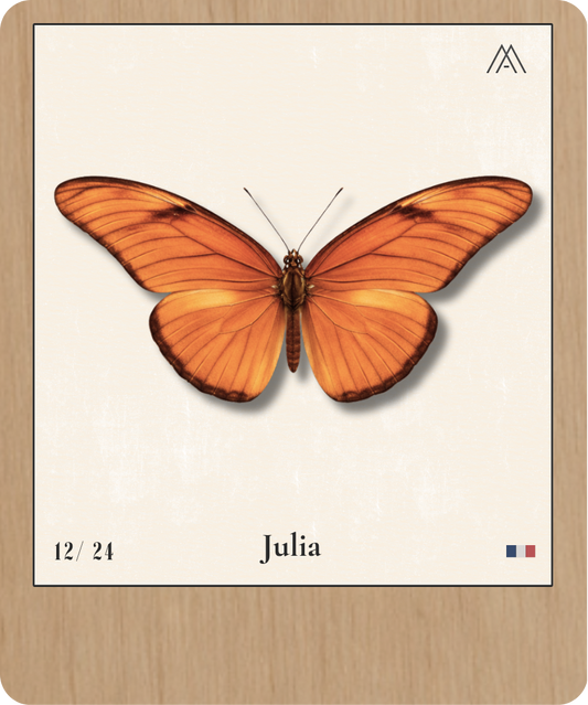 Julia - Instant Papillon - N°12