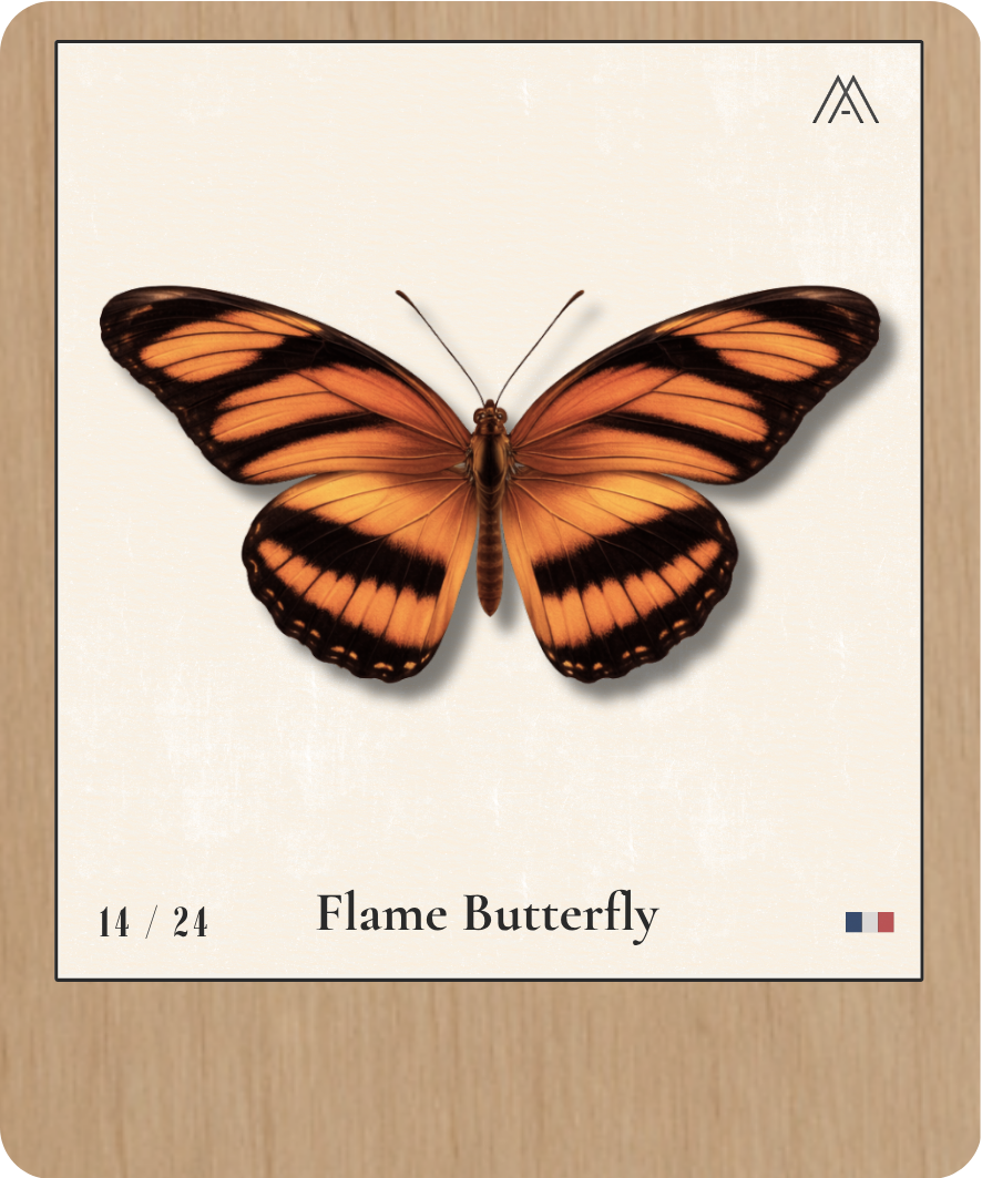 Flame Butterfly - Instant Papillon - N°14