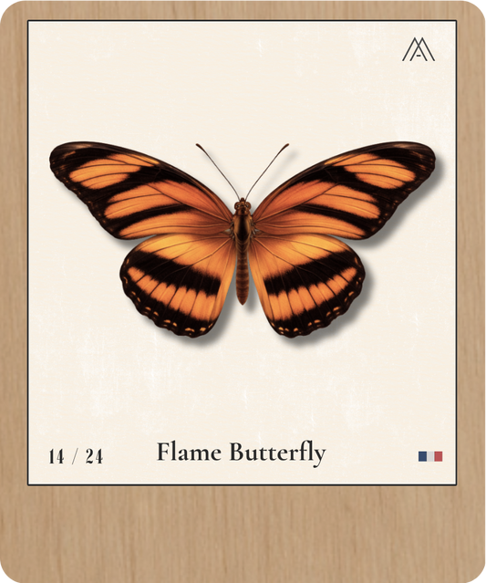 Flame Butterfly - Instant Papillon - N°14