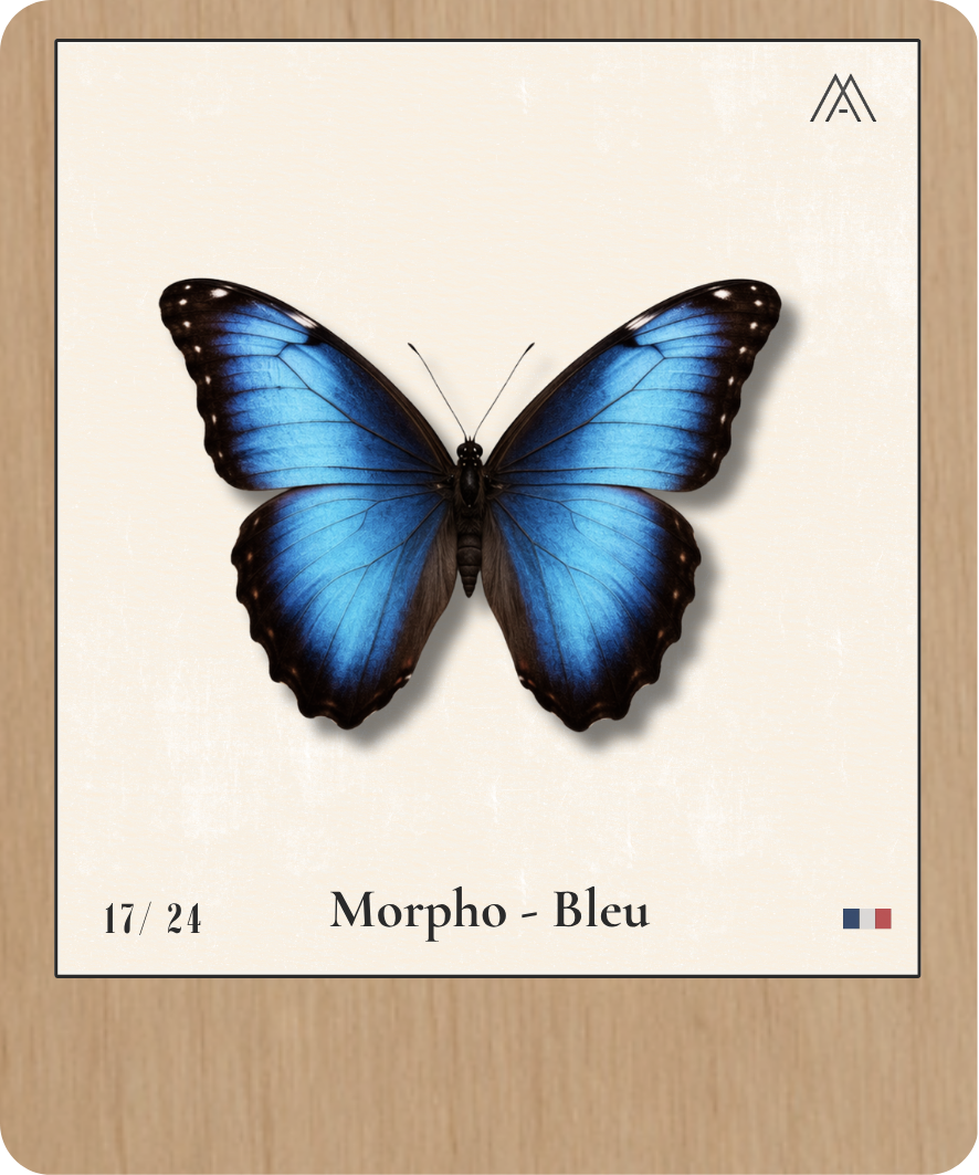 Morpho - Bleu - Instant Papillon - N°17