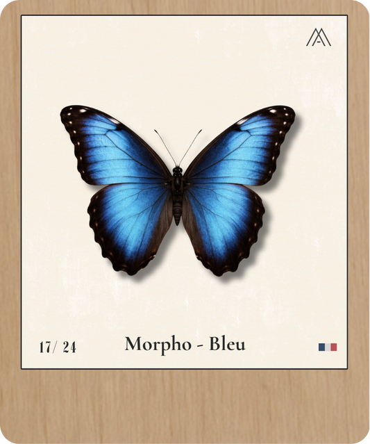 Morpho - Bleu - Instant Papillon - N°17