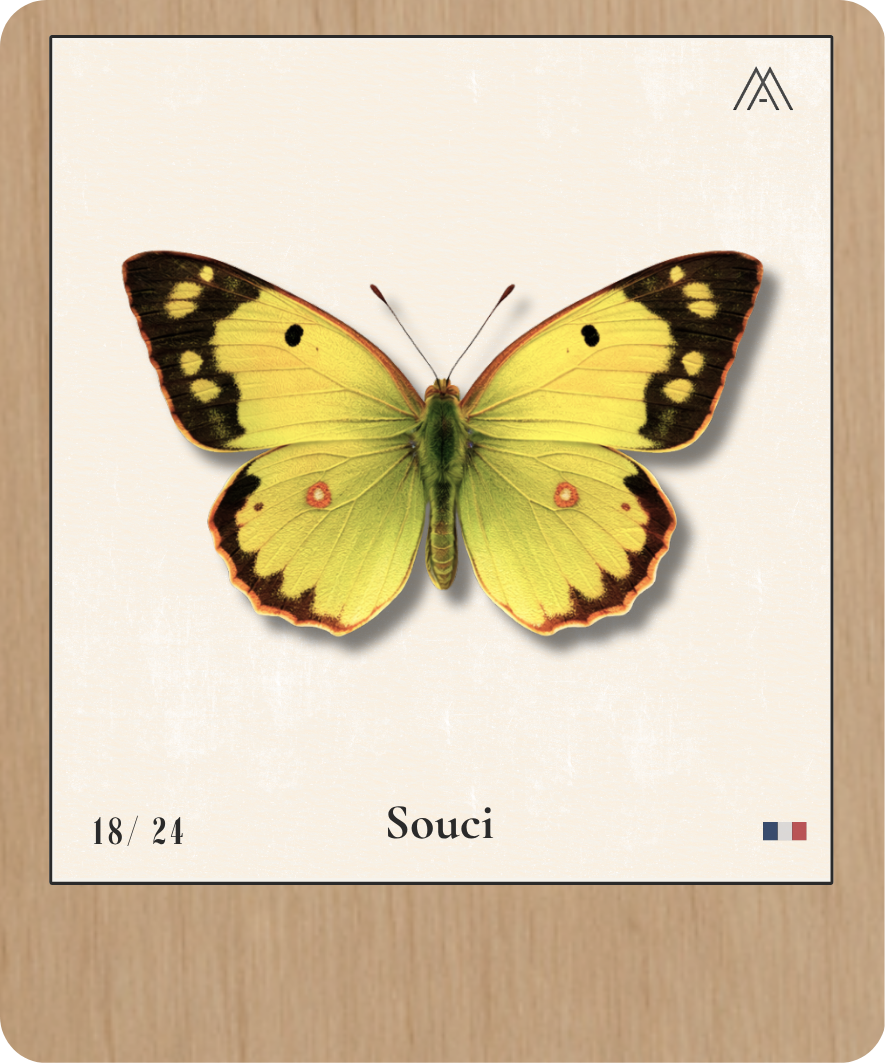 Ulysses - Instant Papillon - N°18