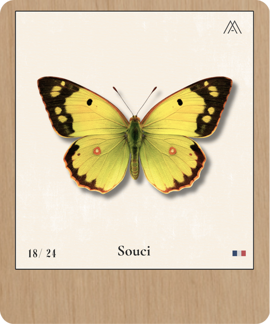 Ulysses - Instant Papillon - N°18