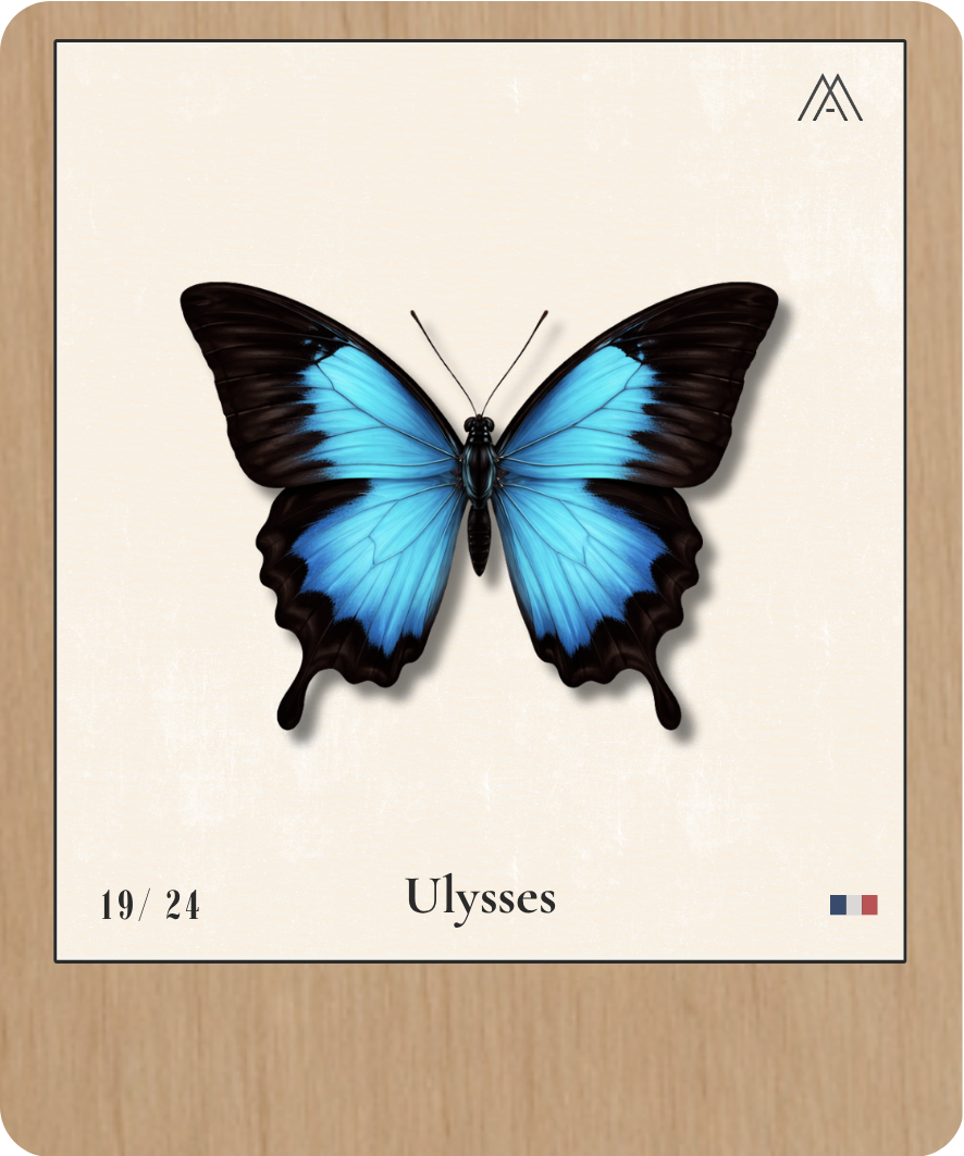 Ulysses - Instant Papillon - N°19