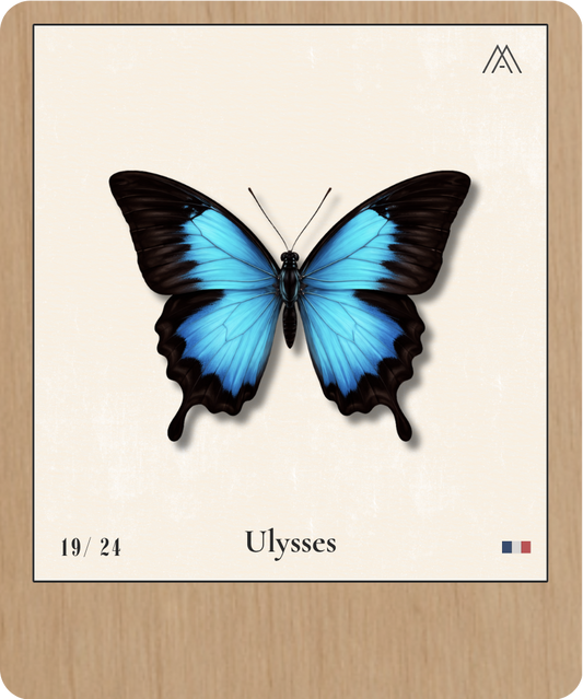 Ulysses - Instant Papillon - N°19