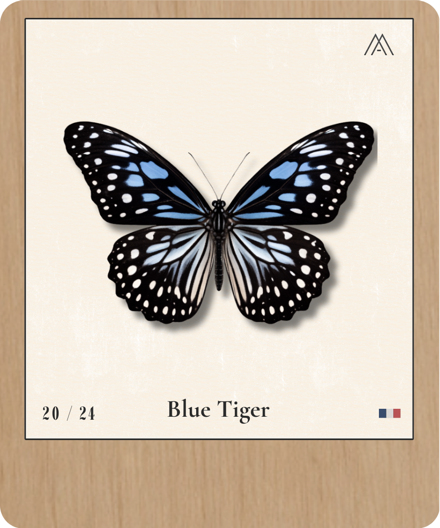 Blue Tiger - Instant Papillon - N°20