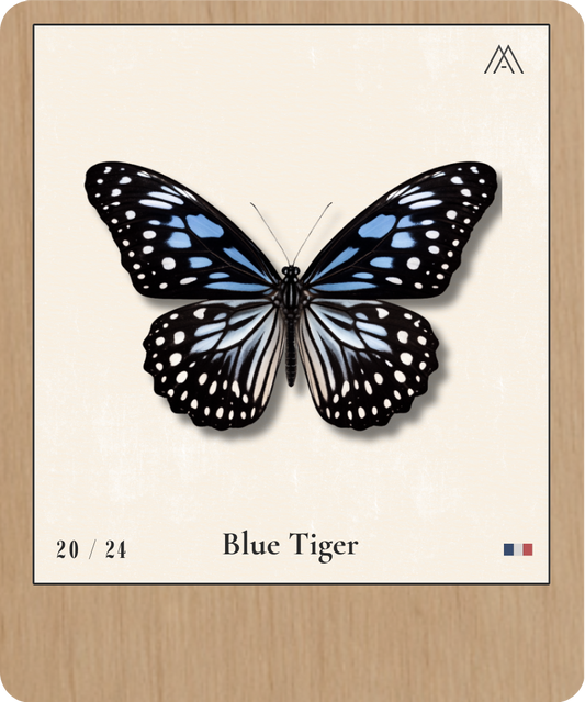 Blue Tiger - Instant Papillon - N°20