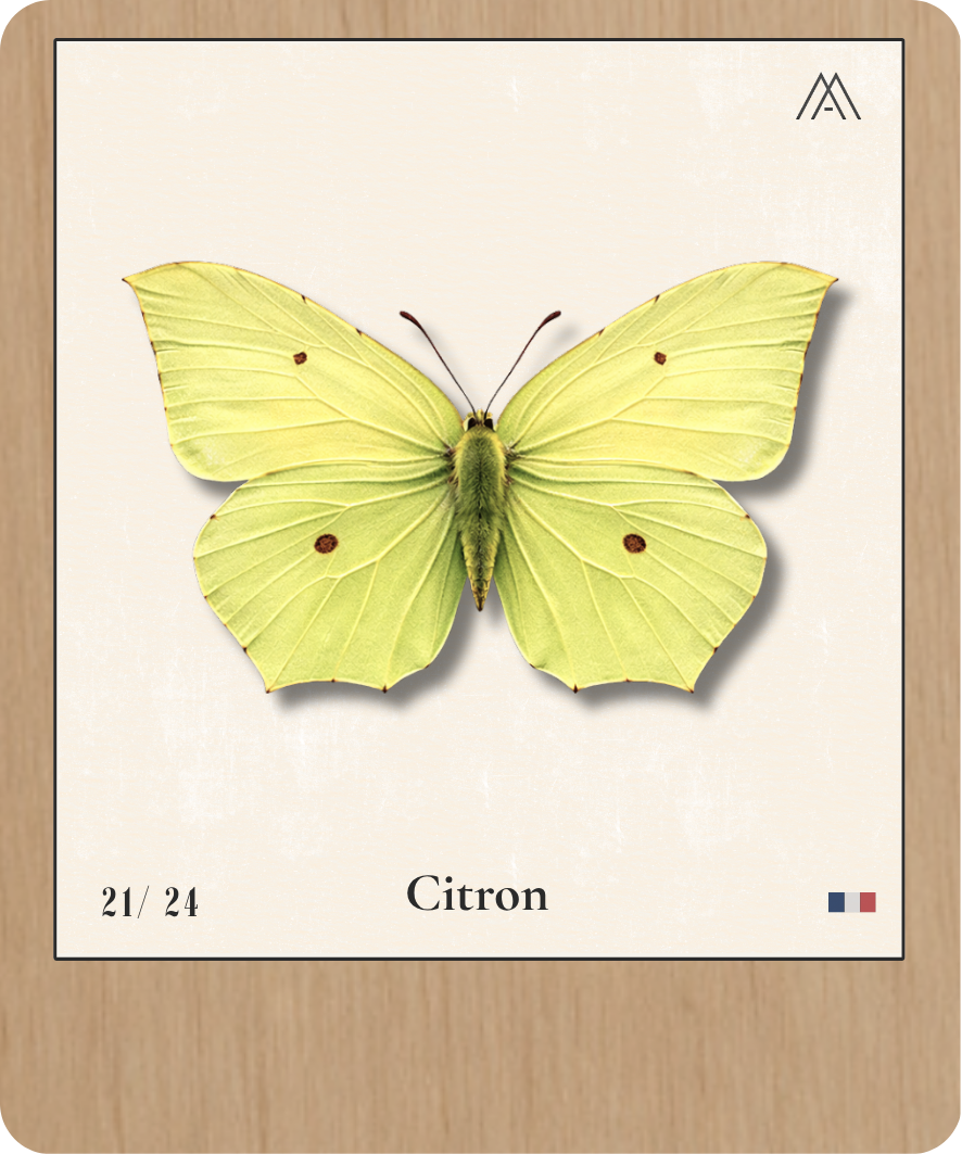 Robert-le-Diable - Instant Papillon - N°21