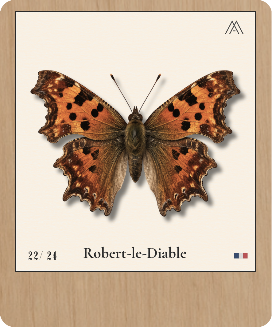 Robert-le-Diable - Instant Papillon - N°22