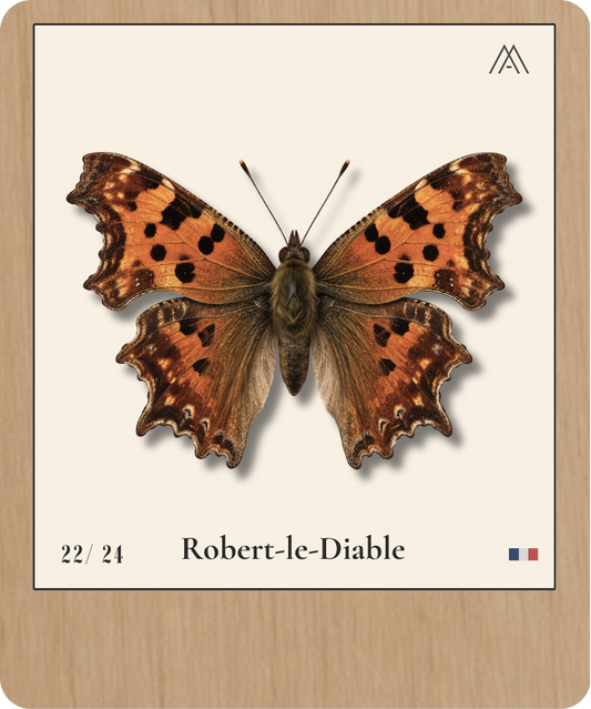 Robert-le-Diable - Instant Papillon - N°22