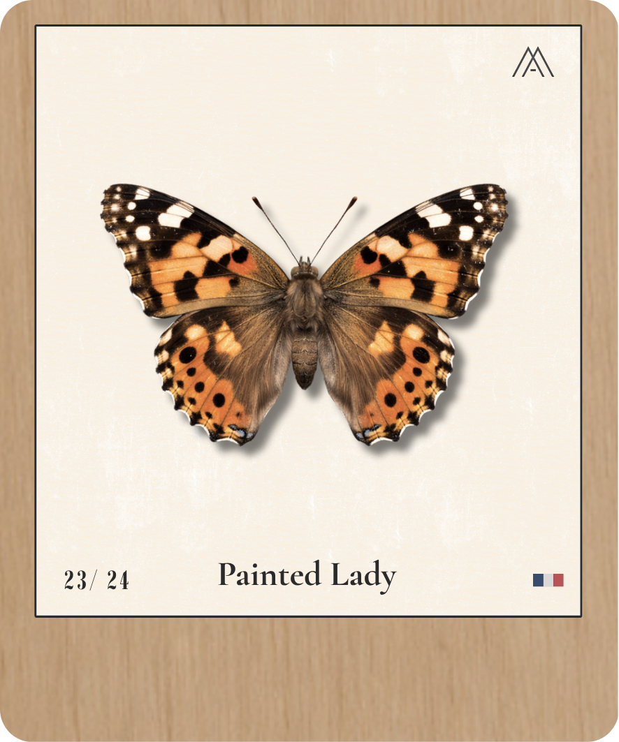 Painted Lady - Instant Papillon - N°23