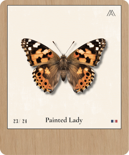 Painted Lady - Instant Papillon - N°23