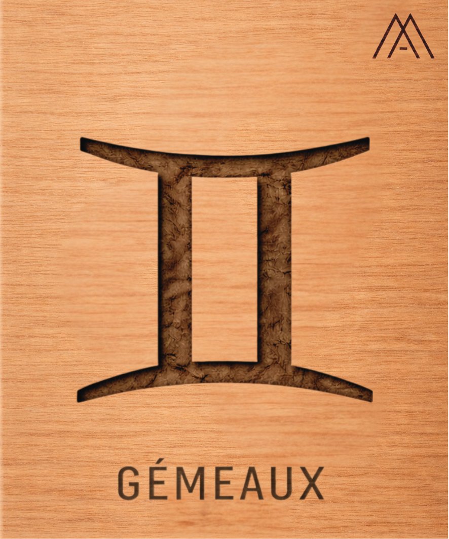 Gémeaux - Instant Zodiaque